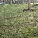 Bonjour<br /> Une petite question aux personnes de la Mairie ; Pourquoi ces bornes en Béton Affreuses tout autour du Bassin de la Sourderie – qui de toutes façon n’empêchent en rien la pénétration de véhicules sur les espaces verts ( voir photos)